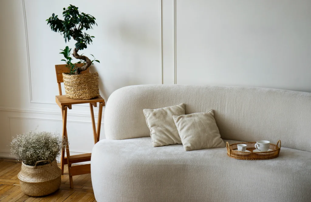Modern vs Minimalist vs Boho